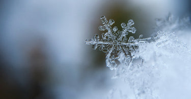Waxing for Artificial Snow